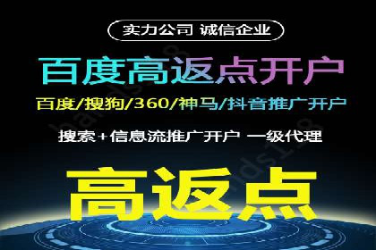 案例研究：信息流广告投放优化